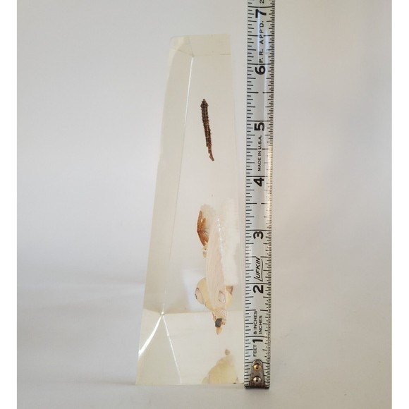 1970 Lucite Acrylic Bookends Nautical Ocean Beach Seashells Seahorses Starfish - Picture 15 of 16